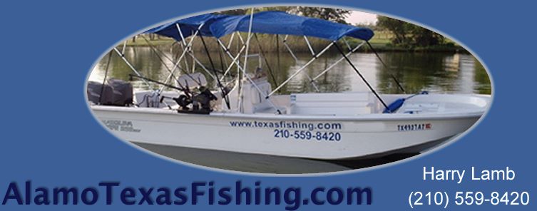 Alamo Texas Fishing logo