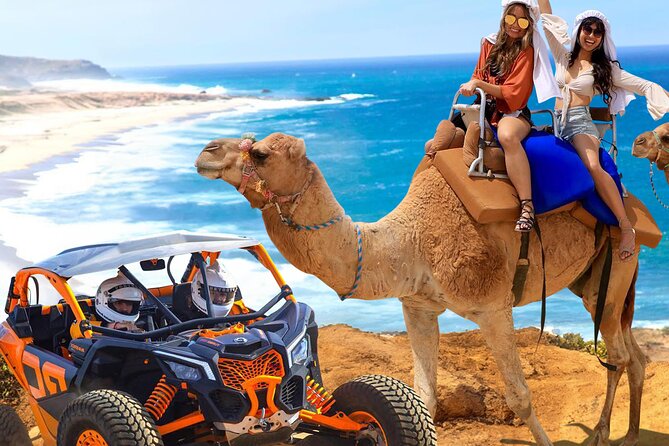 Fun Camel Ride and UTV COMBO with Tequila Tasting!
