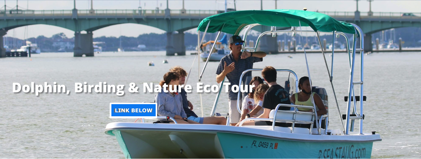 Private 2 Hour Eco Tour