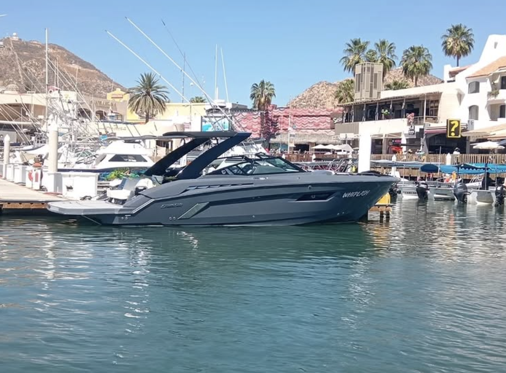 Elevate Yachts in Cabo San Lucas, Baja California Sur - photo 2